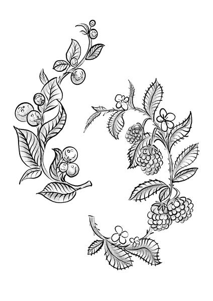 Blueberries &amp; Raspberries