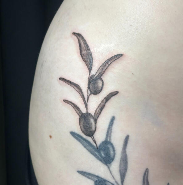 Olive branch addition