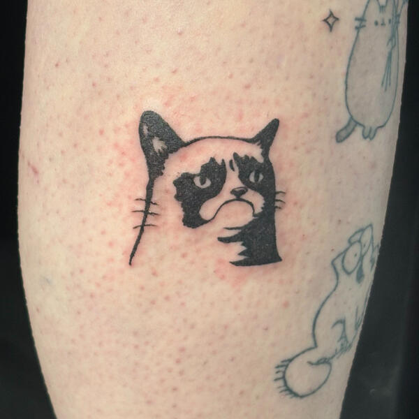 Gumpy cat