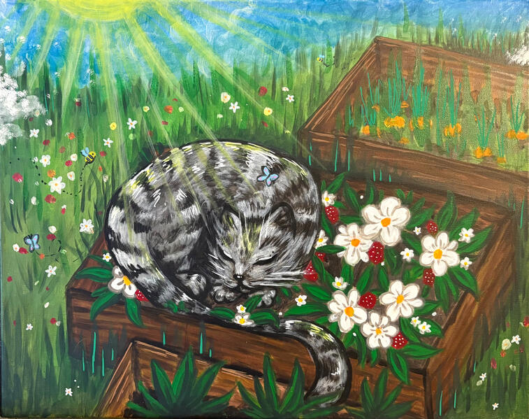 Spring Cat - Doug