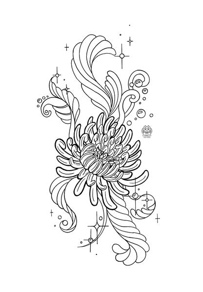 Chrysanthemum