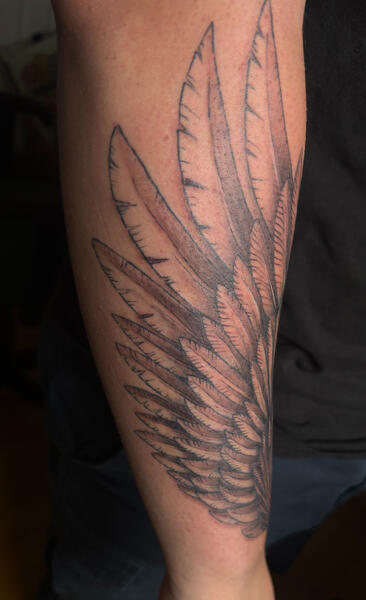 Wing project